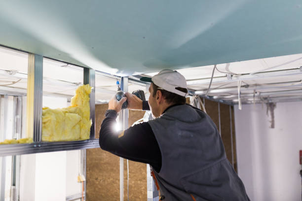 Best Spray Foam Insulation in Hornell, NY