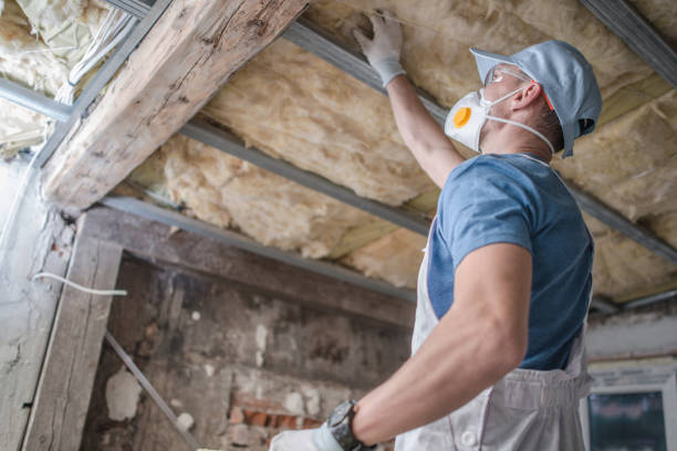 Best Cellulose Insulation in Hornell, NY