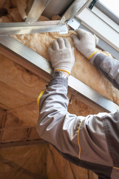 Types of Insulation We Offer in Hornell, NY