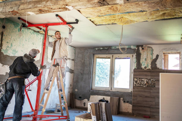 Best Insulation Maintenance and Repair in Hornell, NY